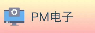 PM电子 logo